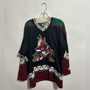 Vintage 90s Starter NHL Phoenix Coyotes Kachina Blank Arizona Hockey Jersey M